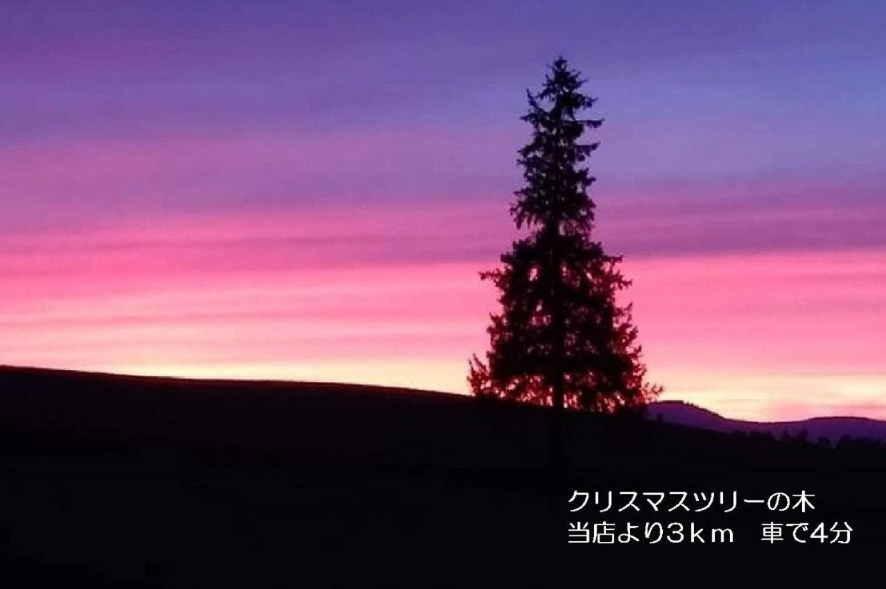 カフェロッジ Touch Wood บิเอะ ภายนอก รูปภาพ