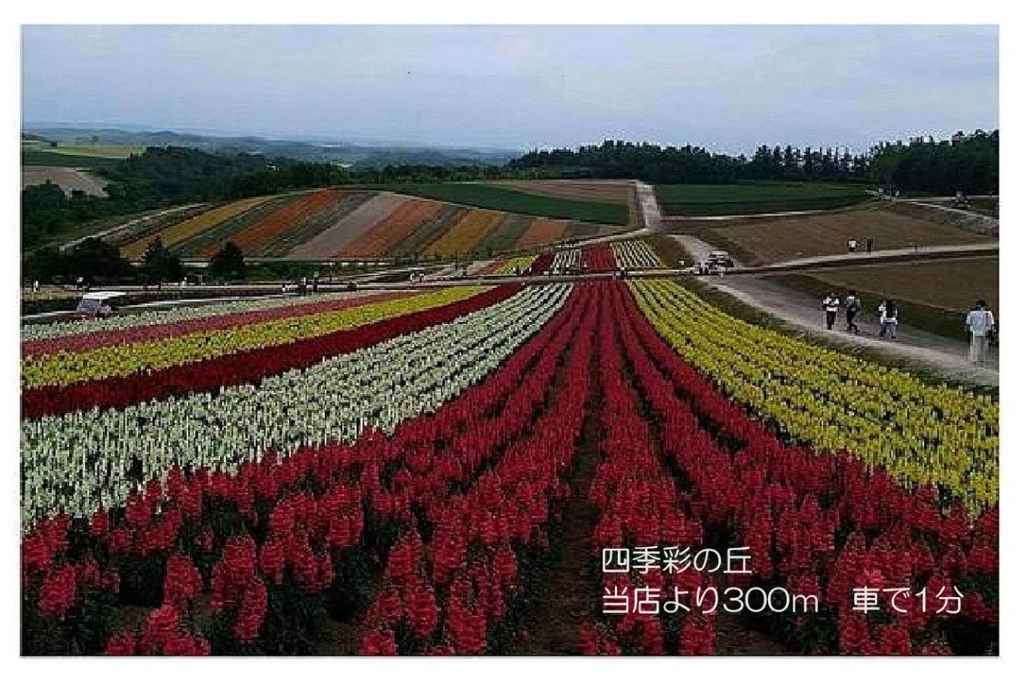 カフェロッジ Touch Wood บิเอะ ภายนอก รูปภาพ